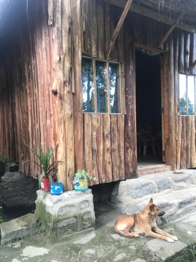 Kalitusi Nature Resort Fort Portal 外观 照片