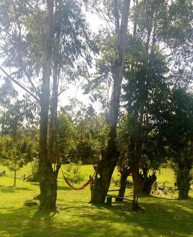 Kalitusi Nature Resort Fort Portal 外观 照片