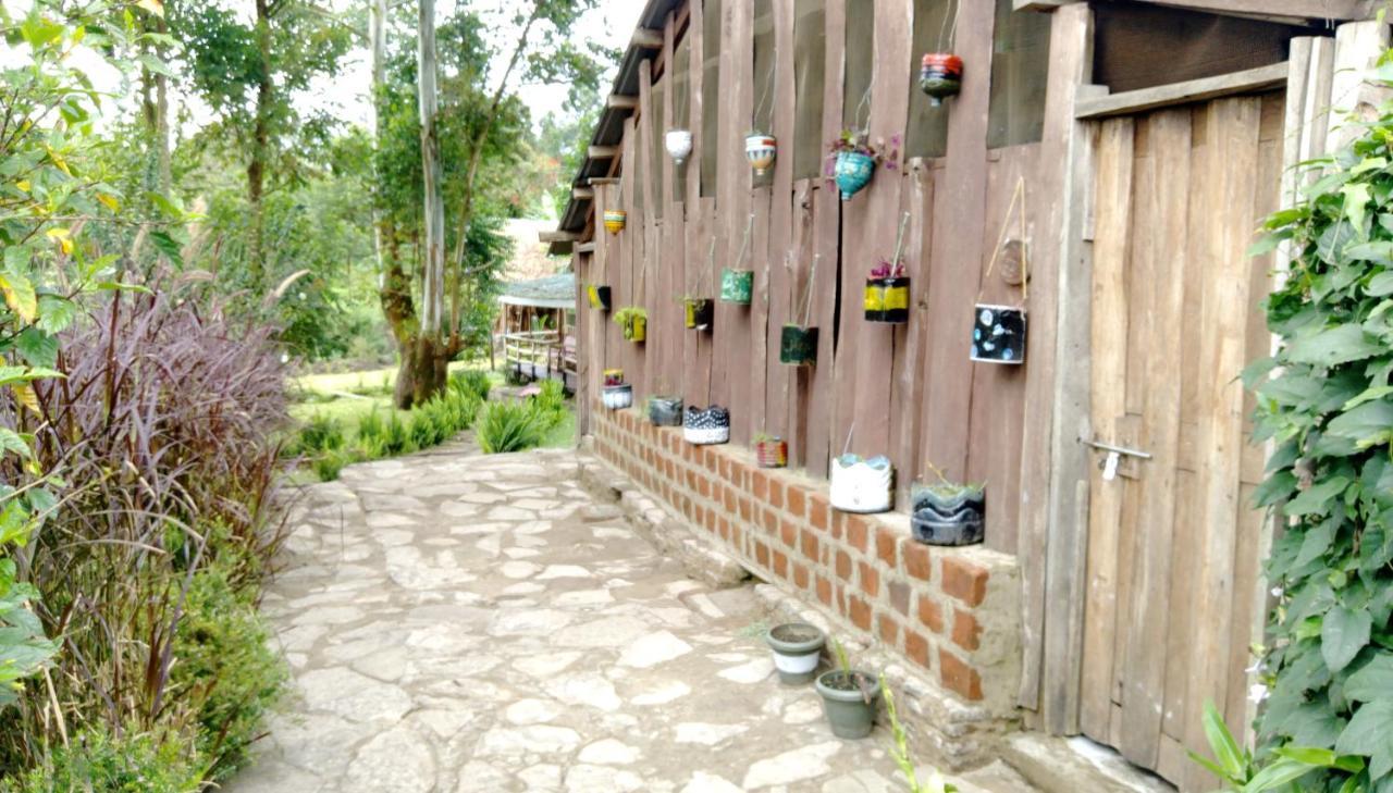 Kalitusi Nature Resort Fort Portal 外观 照片