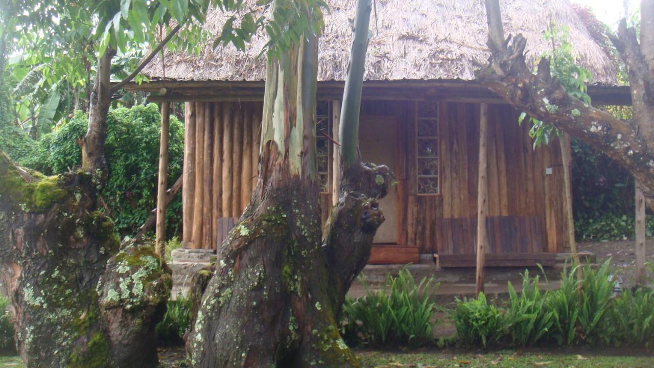 Kalitusi Nature Resort Fort Portal 外观 照片