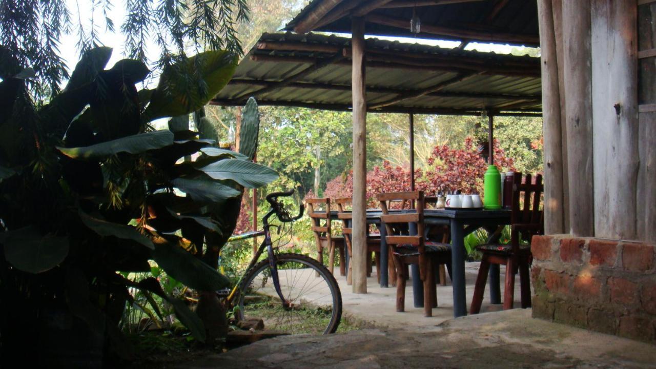 Kalitusi Nature Resort Fort Portal 外观 照片